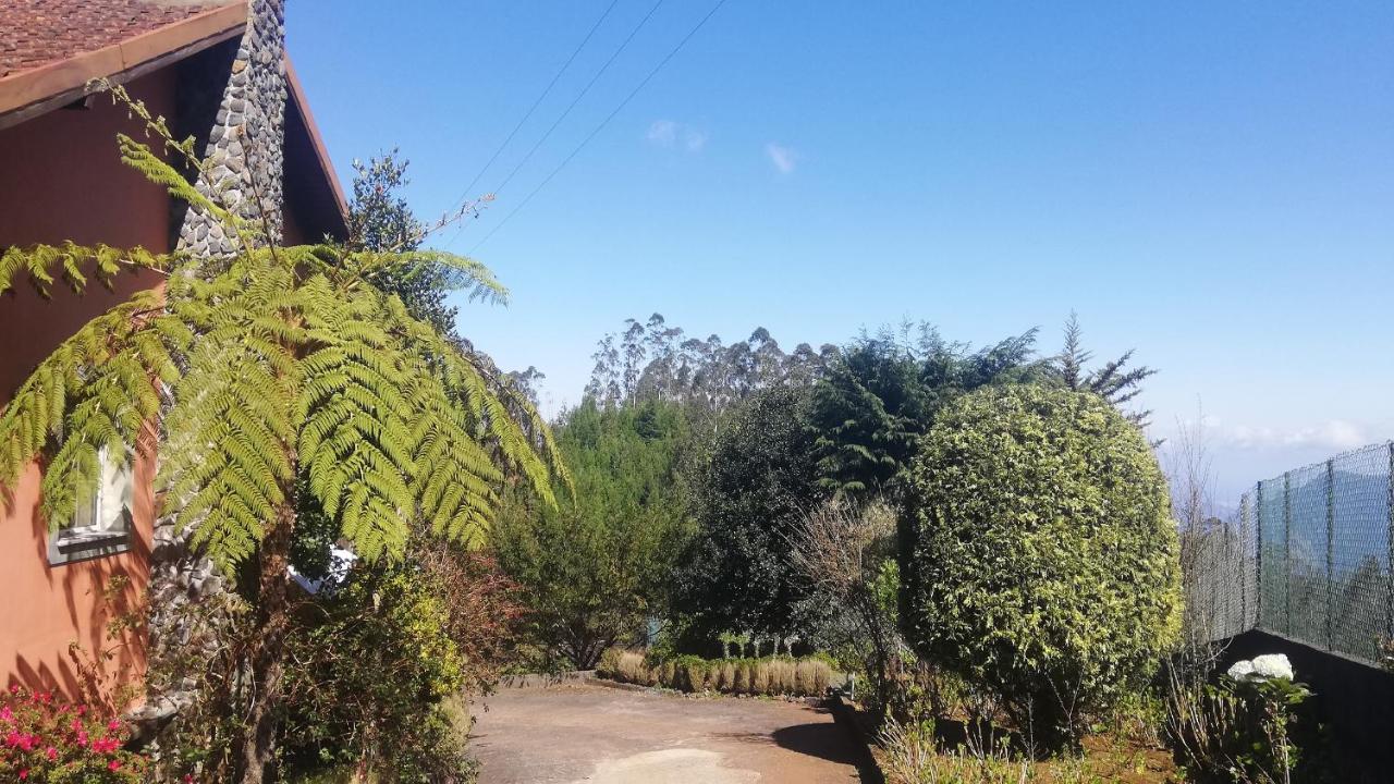 Chalet Pico Das Pedras Сантана Экстерьер фото