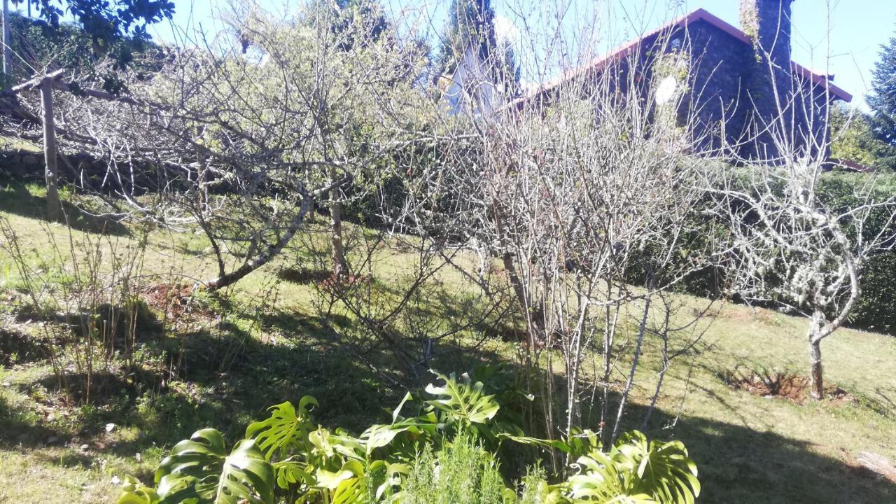 Chalet Pico Das Pedras Сантана Экстерьер фото