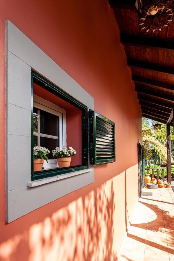 Chalet Pico Das Pedras Сантана Экстерьер фото